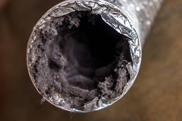 Best Air Duct Cleaning Near Me  in Greenfield, MO