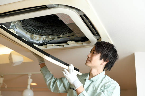 Air Duct Mold Removal in Greenfield, MO